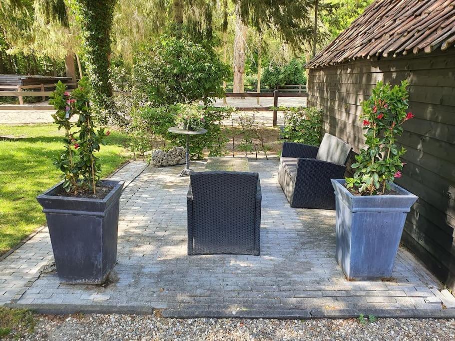 Midden In De Friese Bossen Op Landgoed Princenhof 奥拉涅沃德 外观 照片