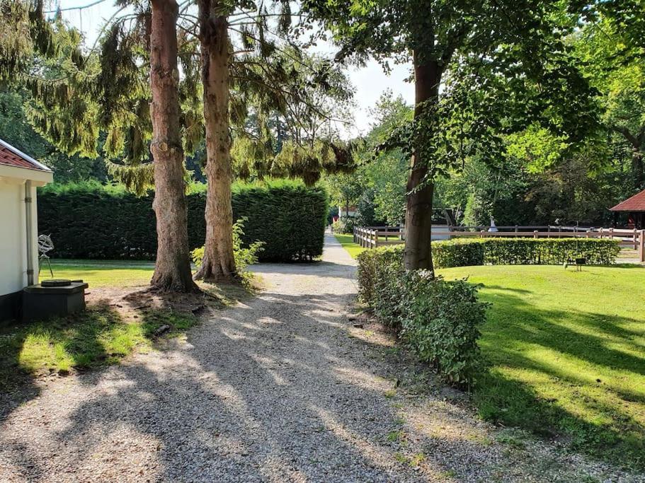 Midden In De Friese Bossen Op Landgoed Princenhof 奥拉涅沃德 外观 照片