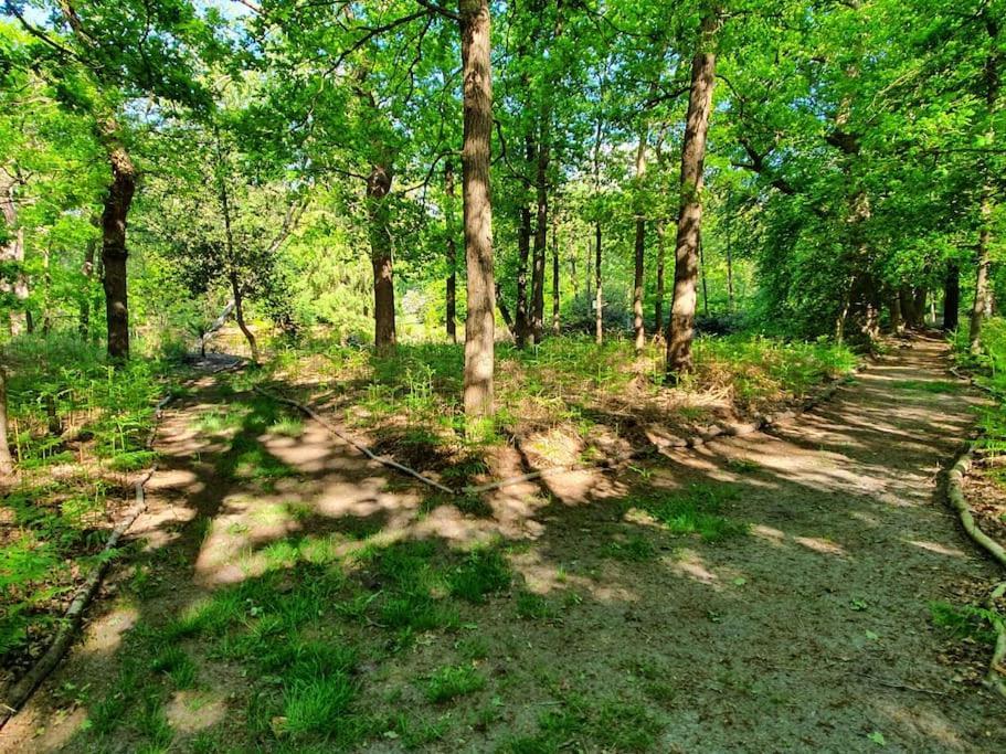 Midden In De Friese Bossen Op Landgoed Princenhof 奥拉涅沃德 外观 照片