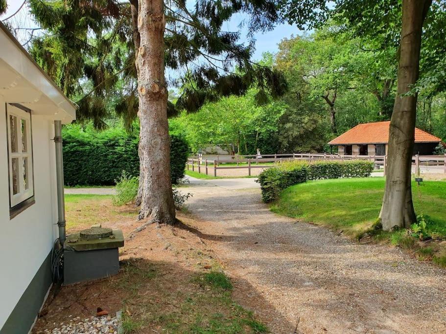 Midden In De Friese Bossen Op Landgoed Princenhof 奥拉涅沃德 外观 照片