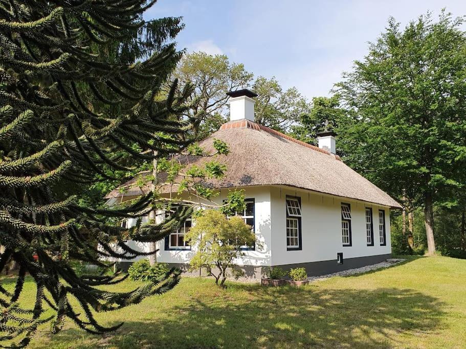 Midden In De Friese Bossen Op Landgoed Princenhof 奥拉涅沃德 外观 照片