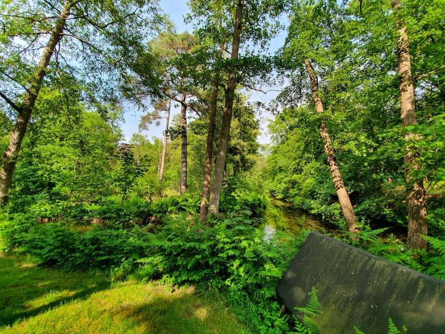 Midden In De Friese Bossen Op Landgoed Princenhof 奥拉涅沃德 外观 照片