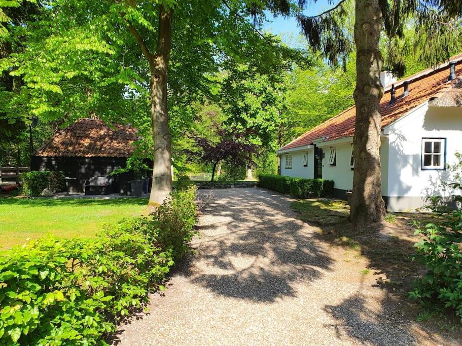 Midden In De Friese Bossen Op Landgoed Princenhof 奥拉涅沃德 外观 照片