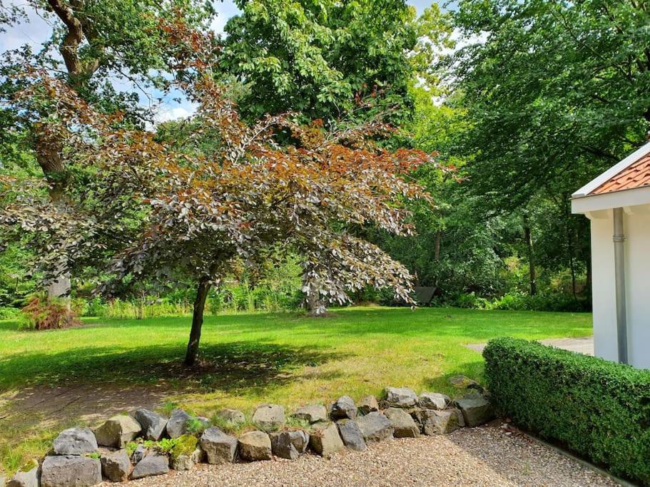 Midden In De Friese Bossen Op Landgoed Princenhof 奥拉涅沃德 外观 照片
