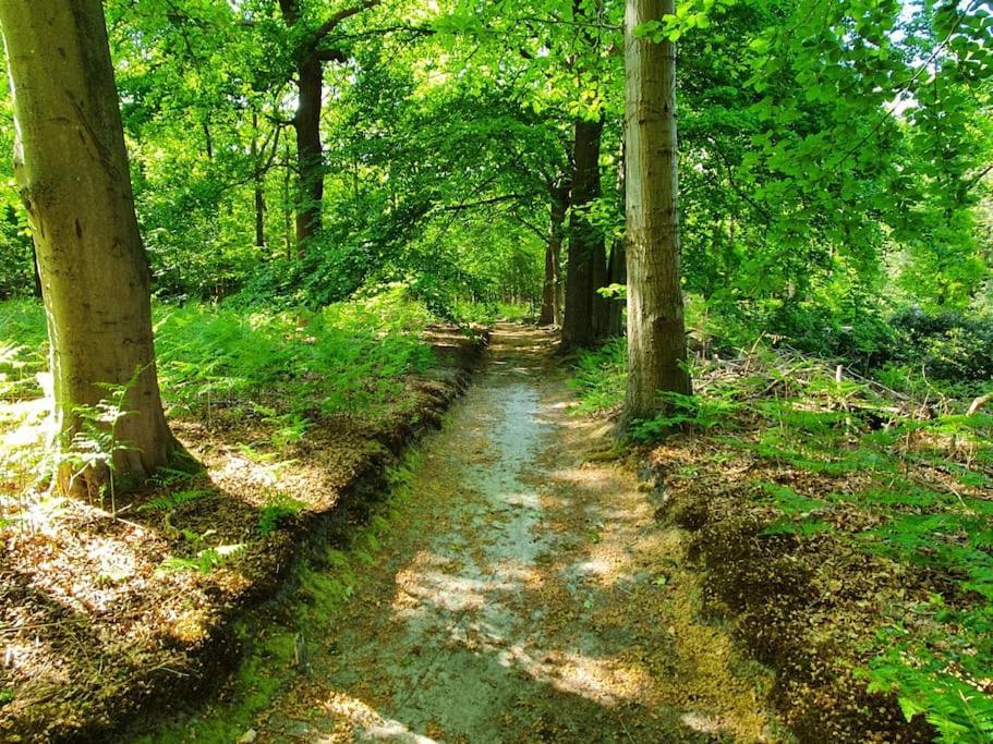 Midden In De Friese Bossen Op Landgoed Princenhof 奥拉涅沃德 外观 照片